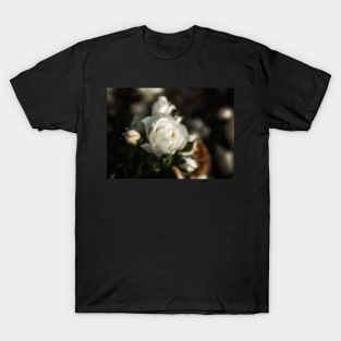 White Flower on a Dark Bokeh Background T-Shirt